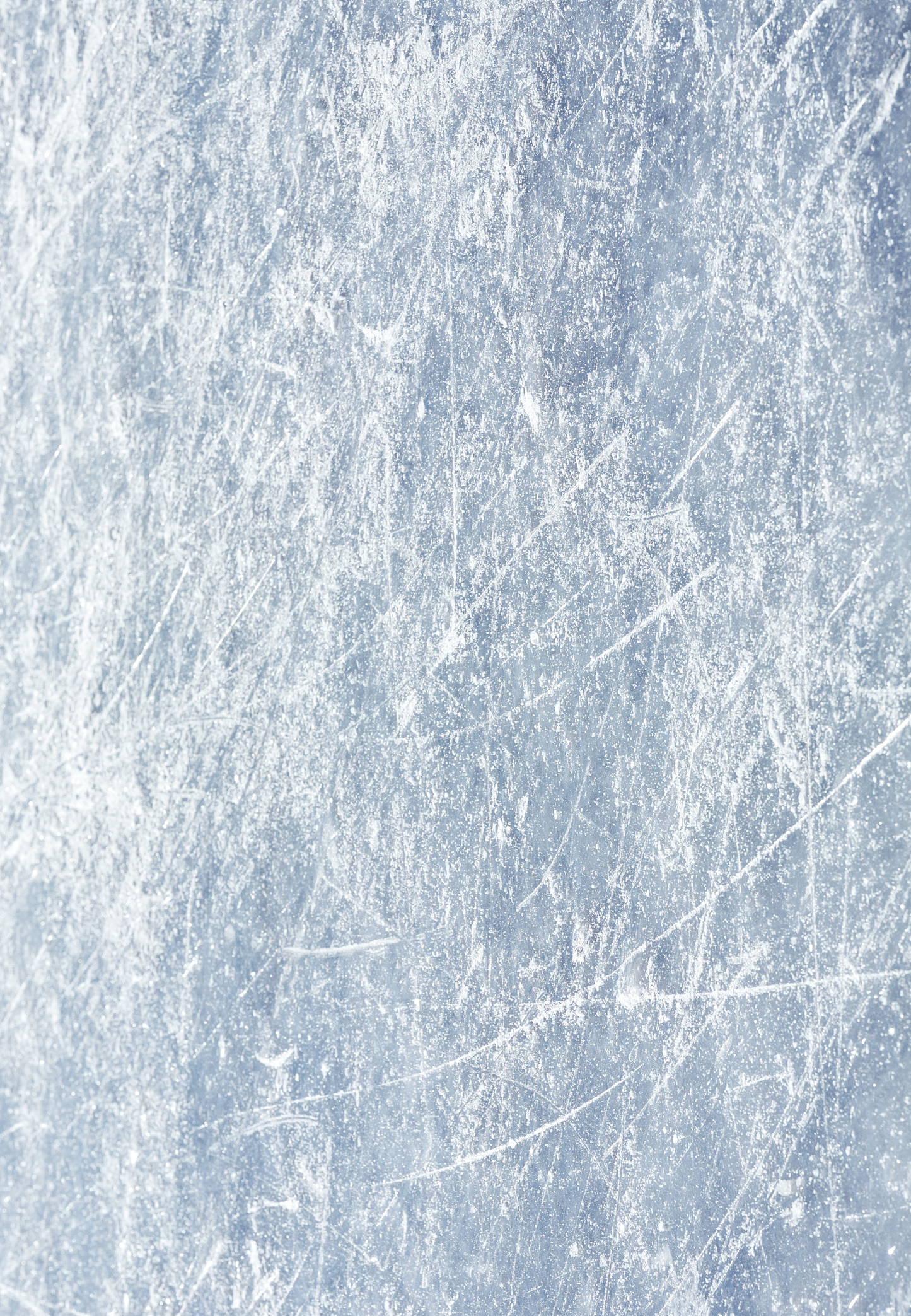 Holiday Gift Wrap – Glacial Whisper