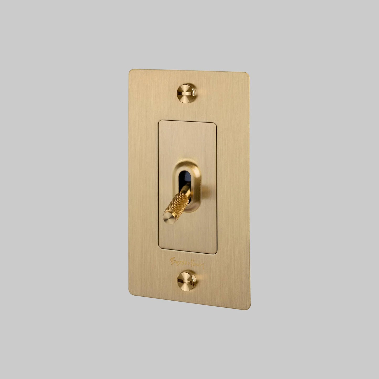 Toggle Switch with Logo