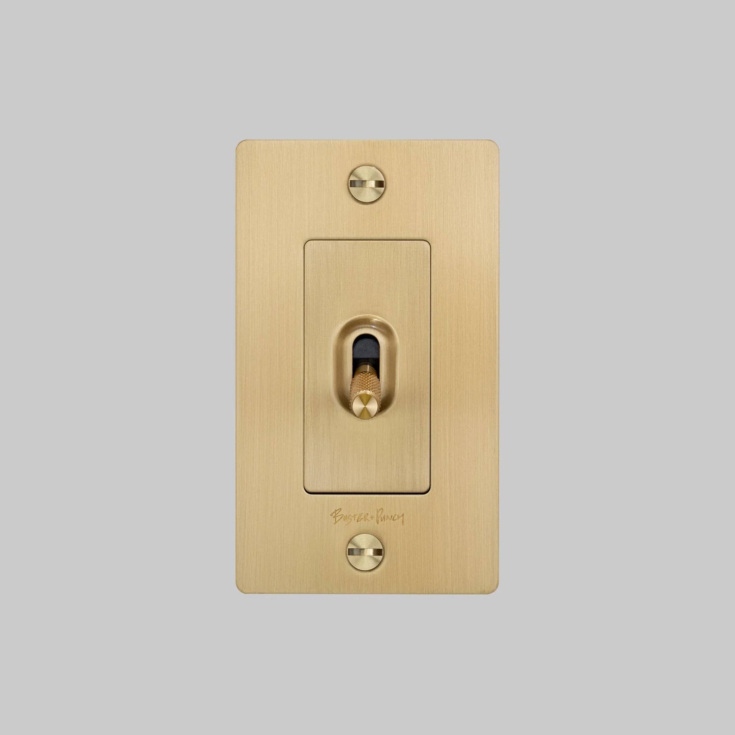 Toggle Switch with Logo