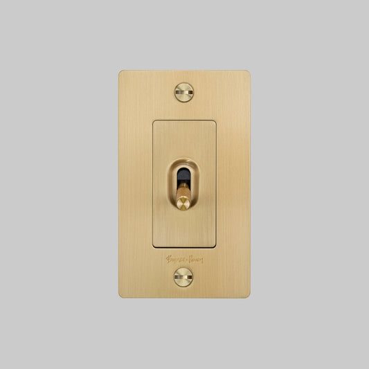 Toggle Switch with Logo