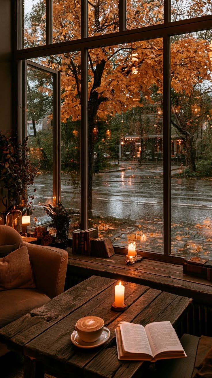 Fall Favourites From our Team