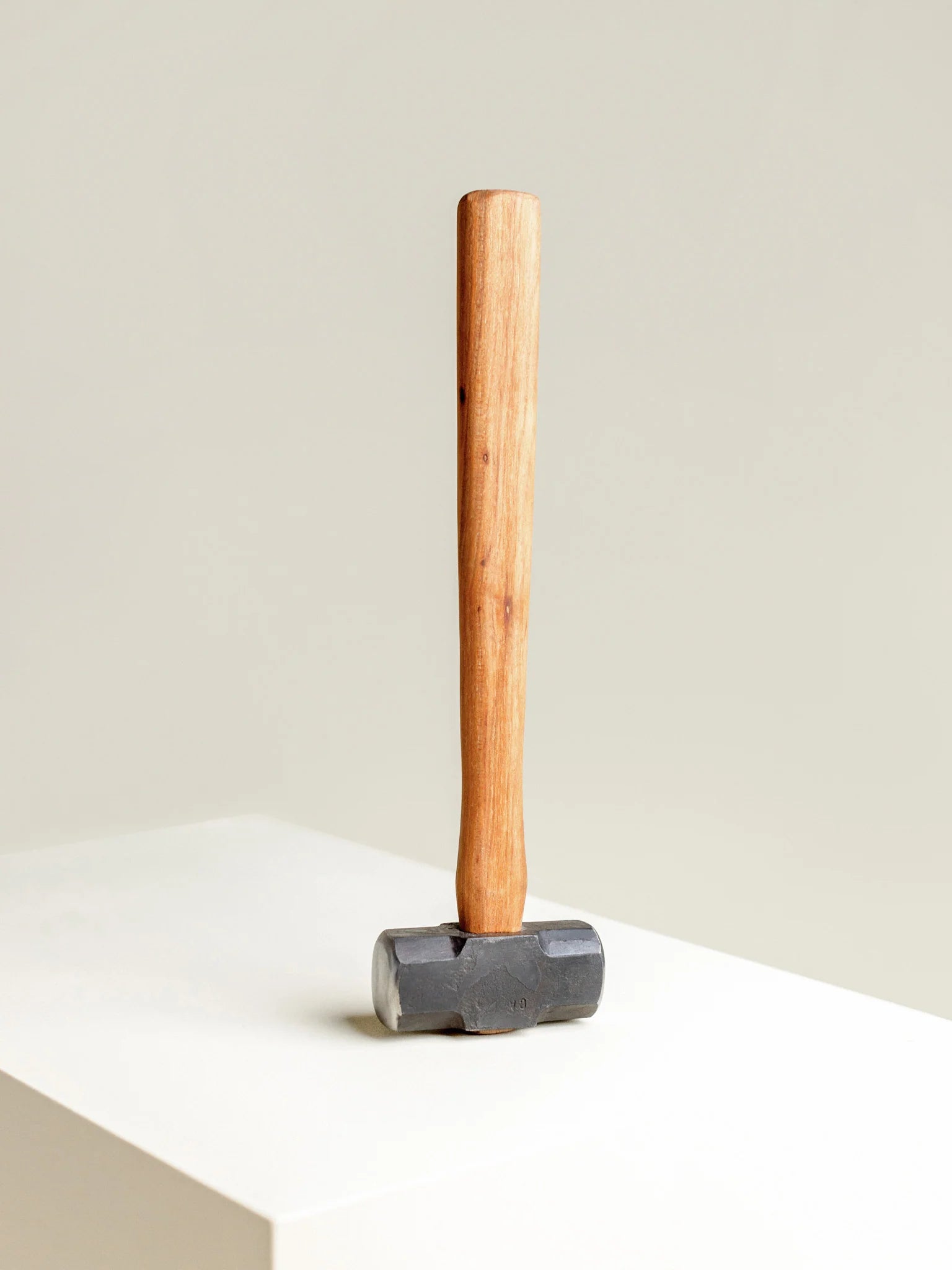 Compact Sledge Hammer
