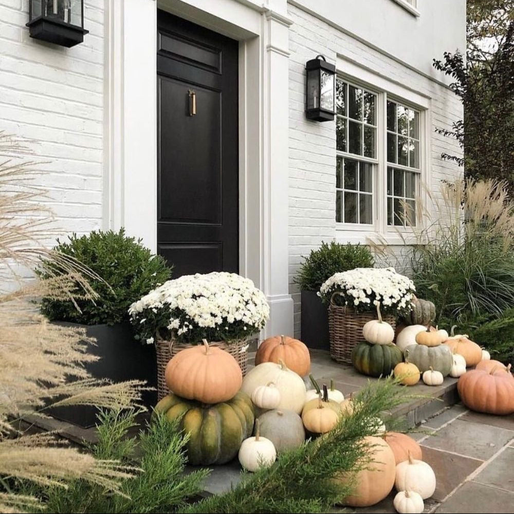 Seasonal Styling: Grand Statement