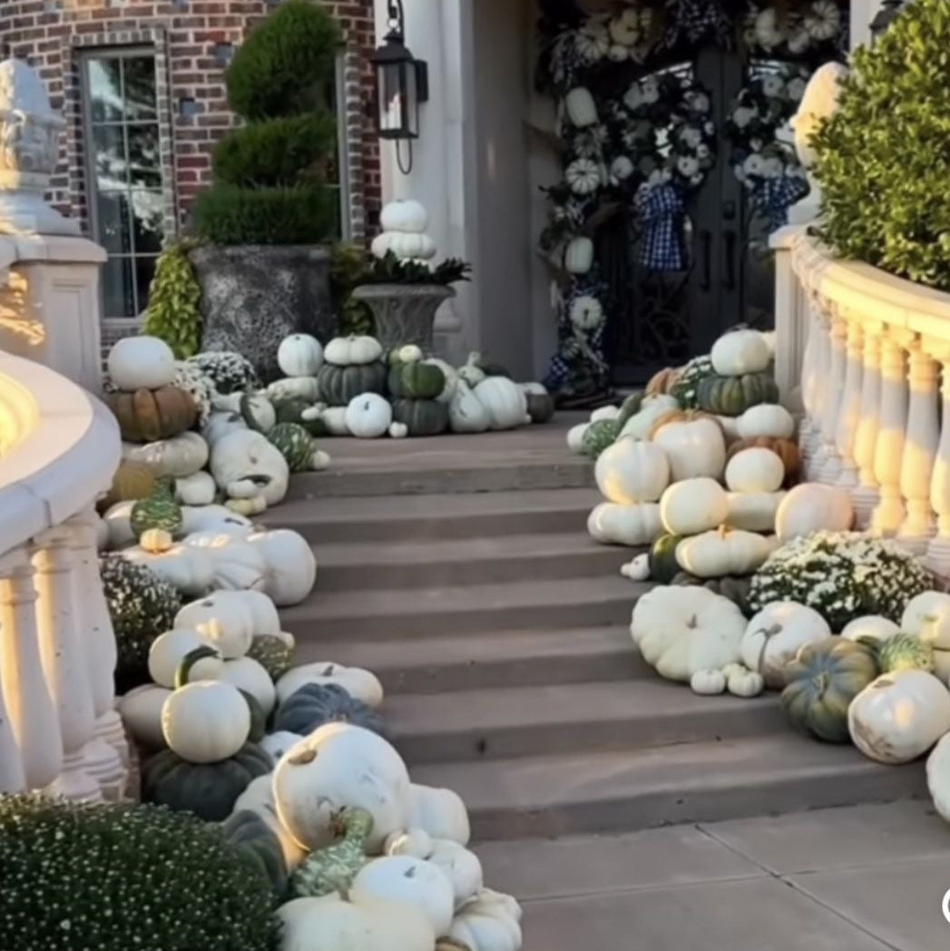 Seasonal Styling: Designer’s Choice
