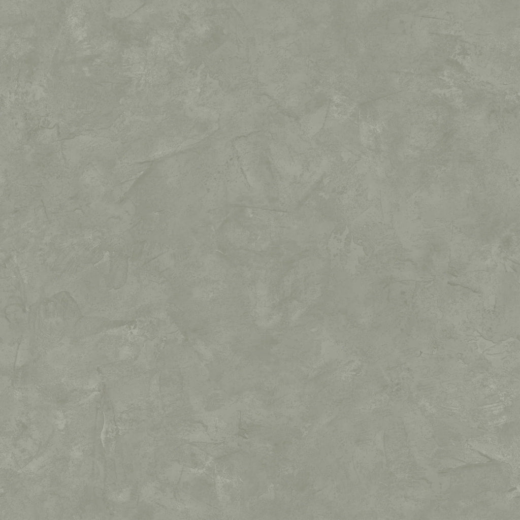 Faux Roman Clay Textured Peel and Stick Wallpaper by Pure Salt