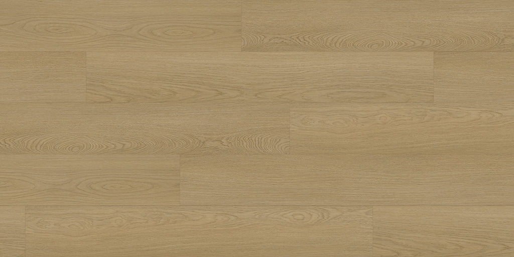 Beige Circuit