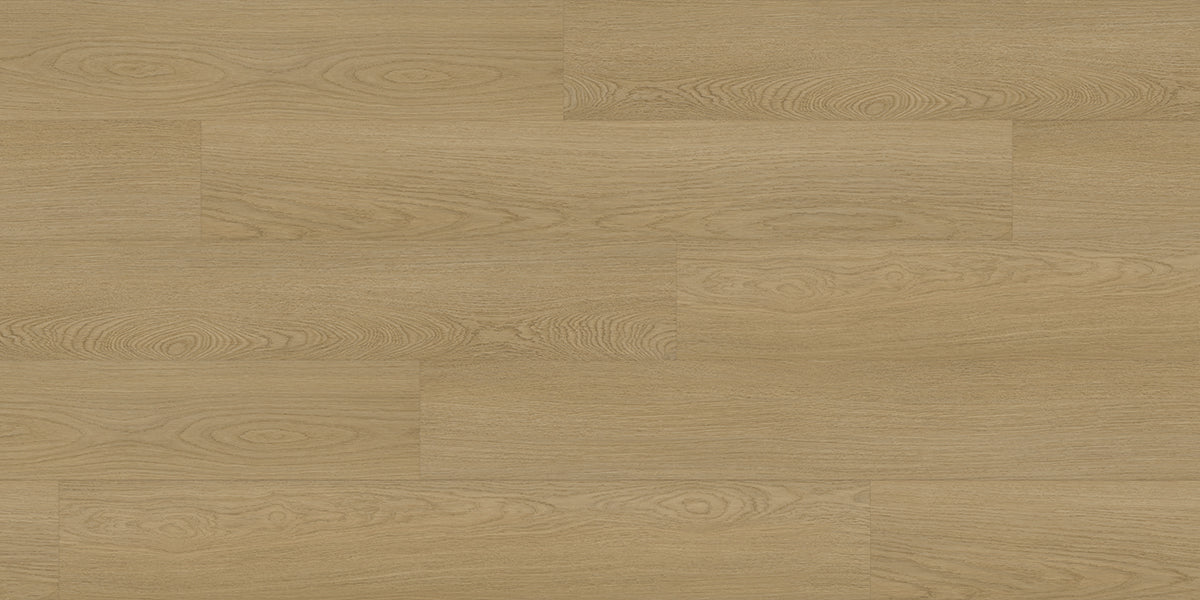 Beige Circuit