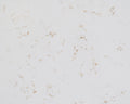 Whistler Gold - Quartz